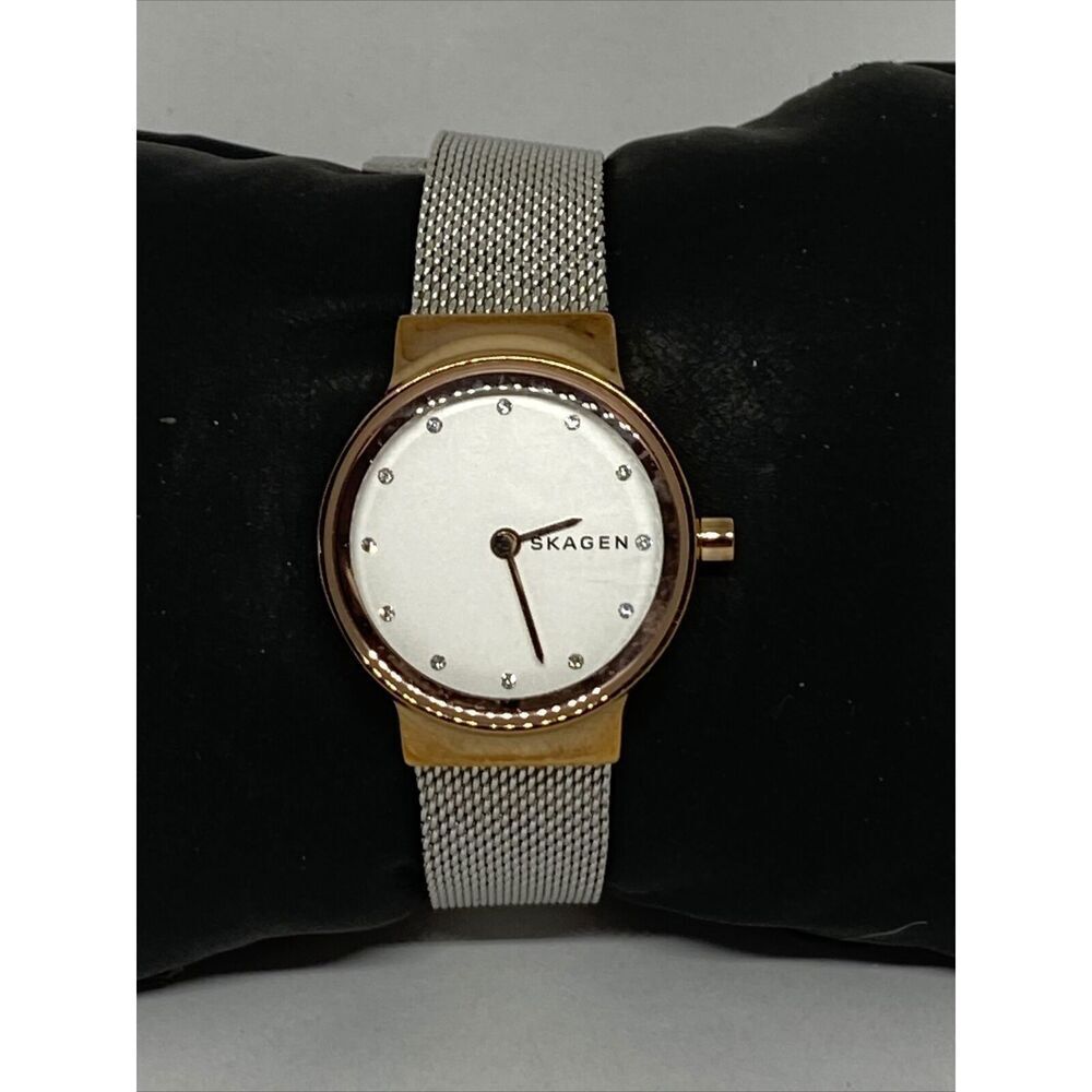 Skagen SKW1101 Women's stainless steel Mesh Analog Dial Quartz Wrist Watch JK636